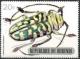 Colnect-2181-125-Longhorn-Beetle-Sternotomis-bohemani.jpg