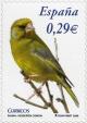 Colnect-581-662-European-Greenfinch-Carduelis-chloris.jpg
