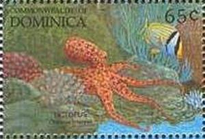 Colnect-2300-028-Caribbean-Reef-Octopus-Octopus-briareus.jpg