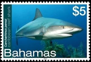 Colnect-2355-513-Caribbean-Reef-Shark-Carcharhinus-perezi.jpg