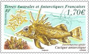 Colnect-5476-801-Antarctic-Horsefish-Zanclorhynchus-spinifer.jpg
