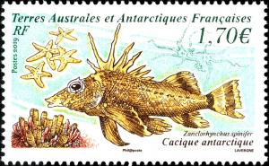 Colnect-5919-170-Antarctic-Horsefish-Zanclorhynchus-spinifer.jpg