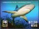 Colnect-4412-963-Caribbean-Reef-Shark-Carcharhinus-perezi.jpg