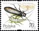 Colnect-4852-238-Stonefly-Perla-marginata.jpg