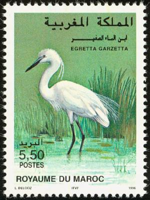 Colnect-1347-835-Little-Egret-Egretta-garzetta.jpg