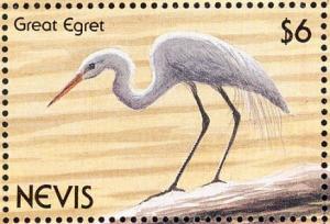 Colnect-1646-409-Great-Egret-Casmerodius-alba.jpg