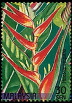 Colnect-4145-589-Stamp-Week--Heliconia-latispatha.jpg