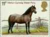 Colnect-122-095-Merlyn-Cymreig-Welsh-Pony-Equus-ferus-caballus.jpg