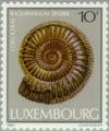 Colnect-134-589-Ammonite-Shell-Coeloceras-raquinianum.jpg