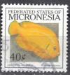 Colnect-1740-302-Lemonpeel-Angelfish-Centropyge-flavissimus.jpg