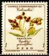 Colnect-3220-357-Espeletia-Grandiflora.jpg