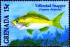 Colnect-4503-188-Yellowtail-snapper.jpg