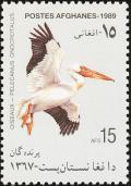 Colnect-1624-237-Great-White-Pelican-Pelecanus-onocrotalus.jpg