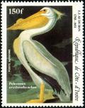 Colnect-2731-052-American-White-Pelican-Pelecanus-erythrorhynchos.jpg