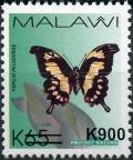 Colnect-6028-510-Eastern-Black-and-yellow-Swallowtail-Papilio-pelodorus.jpg