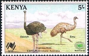 Colnect-2475-459-Ostrich-Struthio-camelus--Common-Emu-Dromaius-novaeholla.jpg