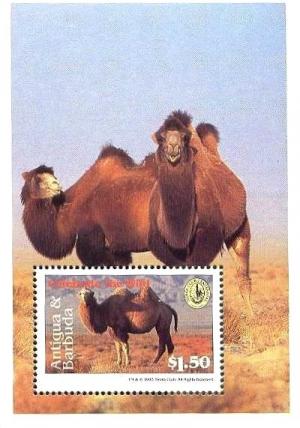 Colnect-4112-699-Bactrian-Camel-Camelus-ferus-bactrianus.jpg