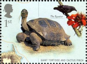 Colnect-608-210-Galapagos-Tortoise-Chelonoidis-nigra-Common-Cactus-finch-.jpg