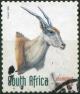 Colnect-2339-465-Common-Eland-Taurotragus-oryx.jpg