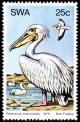 Colnect-5207-320-Great-White-Pelican-Pelecanus-onocrotalus.jpg