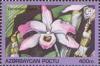 Colnect-196-086-Dendrobium-nobile.jpg