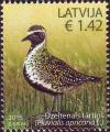 Colnect-2778-830-European-Golden-Plover-Pluvialis-apricaria.jpg