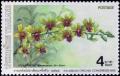 Colnect-2236-069-Dendrobium-srisiam.jpg