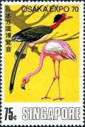 Colnect-4320-248-American-Flamingo-Phoenicopterus-ruber-Helmeted-Hornbill-.jpg