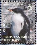 Colnect-4568-911-Gentoo-Penguin-Pygoscelis-papua.jpg