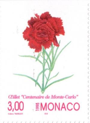 Colnect-149-796-Dianthus---Centenaire-de-Monte-Carlo--.jpg