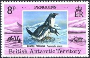 Colnect-1555-549-Gentoo-Penguin-Pygoscelis-papua.jpg