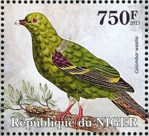Colnect-4914-466-Bruce-s-Green-Pigeon----Treron-waalia.jpg