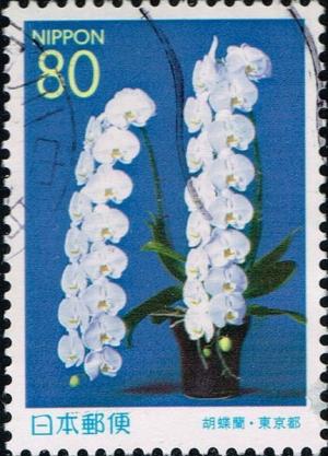 Colnect-4927-247-Orchid-Phalaenopsis--Cygnus-Renaissance-.jpg