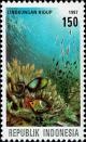 Colnect-4818-527-Natural-environment---Surgeonfish-Acanthurus-sp.jpg