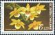 Colnect-5400-856-Dendrobium-senile.jpg