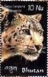 Colnect-3410-428-Snow-Leopard-Panthera-uncia.jpg