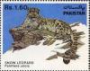 Colnect-899-735-Snow-Leopard-Panthera-uncia.jpg