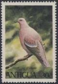 Colnect-1452-448-Plain-Pigeon-Patagioenas-inornata.jpg