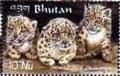 Colnect-3410-432-Snow-Leopard-Panthera-uncia.jpg