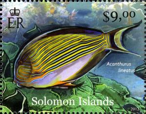 Colnect-2570-584-Striped-Surgeonfish-Acanthurus-lineatus.jpg