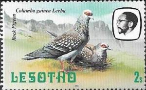 Colnect-3639-492-Rock-Pigeon-Columba-guinea-Leeba.jpg