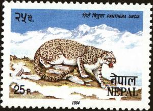 Colnect-4972-295-Snow-Leopard-Panthera-uncia.jpg