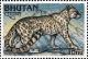 Colnect-3383-131-Snow-Leopard-Panthera-uncia.jpg