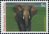 Colnect-1018-836-African-Elephant-Loxodonta-africana.jpg