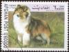 Colnect-1046-664-Shetland-Sheepdog-Canis-lupus-familiaris.jpg