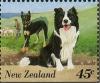 Colnect-1271-542-Australian-Shepherd-Canis-lupus-familiaris.jpg