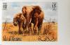 Colnect-1472-199-African-Elephant-Loxodonta-africana.jpg