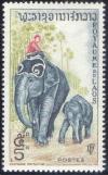Colnect-241-392-Asian-Elephant-Elephas-maximus.jpg