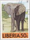 Colnect-2932-828-African-Elephant-Loxodonta-africana.jpg