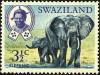 Colnect-3713-218-African-Elephant-Loxodonta-africana.jpg